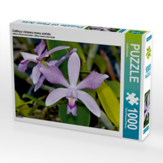 Joc / Jucărie Cattleya violacea rosea anelata (Puzzle) Eerika Schulz