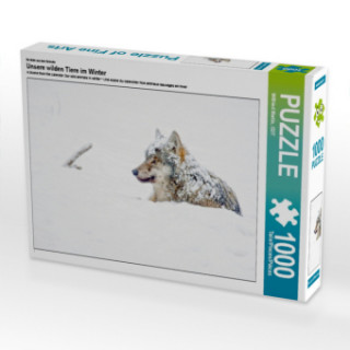 Joc / Jucărie CALVENDO Puzzle Schneebedeckter Wolf liegt im Schnee 1000 Teile Lege-Größe 64 x 48 cm Foto-Puzzle Bild von Wilfried Martin Wilfried Martin