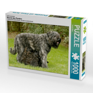 Spiel/Spielzeug Ein Motiv aus dem Kalender Bouvier des Flandres (Puzzle) Susan Milau