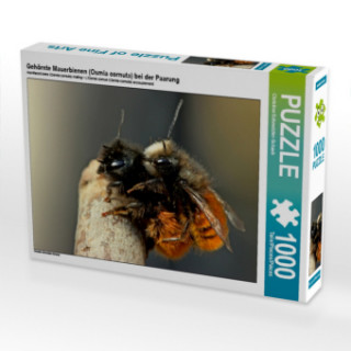 Joc / Jucărie Gehörnte Mauerbienen (Osmia cornuta) bei der Paarung (Puzzle) Christine Schmutzler-Schaub