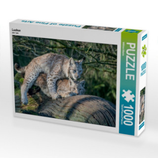 Jeu/jouet CALVENDO Puzzle Luchse bei der Paarung 1000 Teile Lege-Größe 64 x 48 cm Foto-Puzzle Bild von Wilfried Martin Wilfried Martin