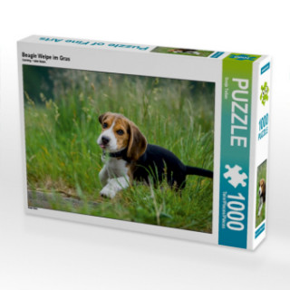 Hra/Hračka Beagle Welpe im Gras (Puzzle) Sonja Teßen