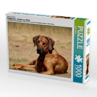 Jeu/jouet Ein Motiv aus dem Kalender Ridgebacks - Hunde aus Afrika (Puzzle) Birgit Bodsch