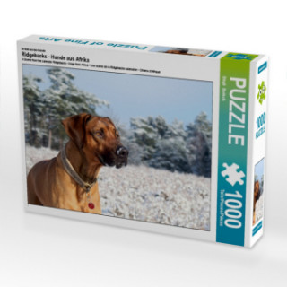 Joc / Jucărie Ein Motiv aus dem Kalender Ridgebacks - Hunde aus Afrika (Puzzle) Birgit Bodsch