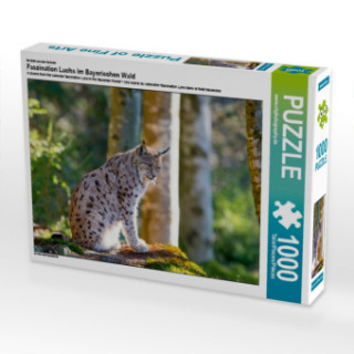 Gra/Zabawka Ein Motiv aus dem Kalender Faszination Luchs im Bayerischen Wald (Puzzle) www.chphotography.de