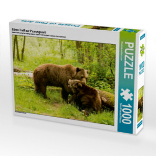 Játék Bären-Treff zur Paarungszeit (Puzzle) 