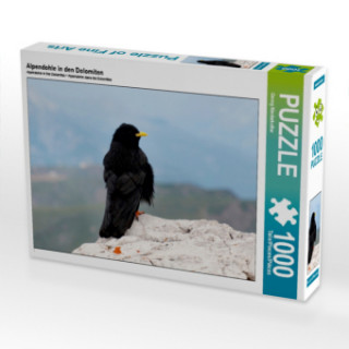 Game/Toy Alpendohle in den Dolomiten (Puzzle) Georg Niederkofler