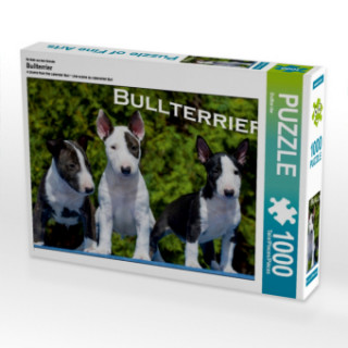 Joc / Jucărie Ein Motiv aus dem Kalender Bullterrier (Puzzle) Bullterrier