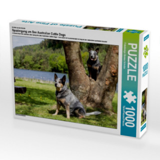 Hra/Hračka Ein Motiv aus dem Kalender Spaziergang am See Australian Cattle Dogs (Puzzle) Verena Scholze