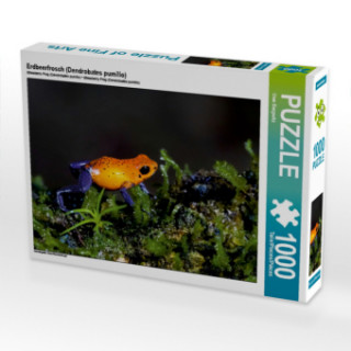 Game/Toy Erdbeerfrosch (Dendrobates pumilio) (Puzzle) Uwe Bergwitz