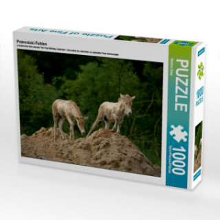 Gra/Zabawka Przewalski-Fohlen (Puzzle) Martina Berg