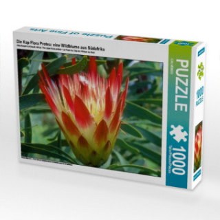 Hra/Hračka Die Kap Flora Protea: eine Wildblume aus Südafrika (Puzzle) 