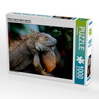 Joc / Jucărie Grüner Leguan (Iguana iguana) (Puzzle) Uwe Bergwitz