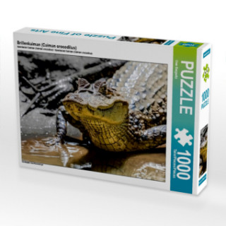 Játék Brillenkaiman (Caiman crocodilus) (Puzzle) Uwe Bergwitz
