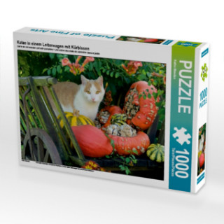 Hra/Hračka Katze in einem Leiterwagen mit Kürbissen (Puzzle) Katho Menden