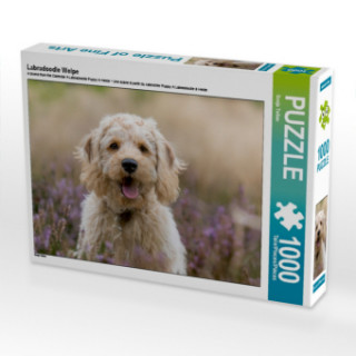 Igra/Igračka Labradoodle Welpe (Puzzle) Sonja Teßen