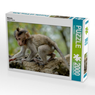 Spel/speelgoed Makake (Puzzle) Dieter Gödecke