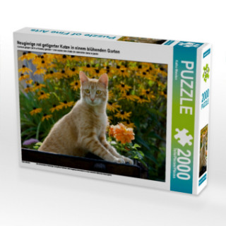 Joc / Jucărie Neugierige rot getigerter Katze in einem blühenden Garten (Puzzle) Katho Menden