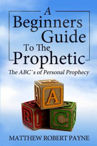 Kniha Beginner's Guide to the Prophetic Matthew Robert Payne