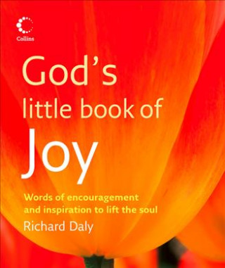 Carte God's Little Book of Joy Richard A. Daly