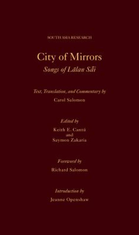 Kniha City of Mirrors Richard Salomon