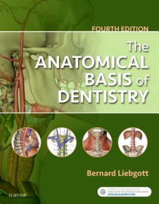 Книга Anatomical Basis of Dentistry Bernard Liebgott