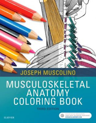 Kniha Musculoskeletal Anatomy Coloring Book Joseph E. Muscolino