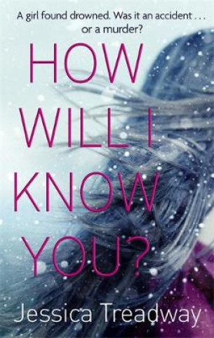 Buch How Will I Know You? Jessica Treadway
