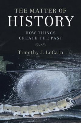 Kniha Matter of History Timothy J. LeCain