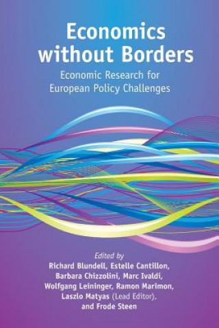 Kniha Economics without Borders Laszlo Matyas