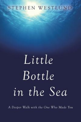 Kniha Little Bottle in the Sea Stephen Westlund