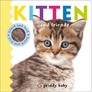 Book Kitten and Friends Priddy Roger