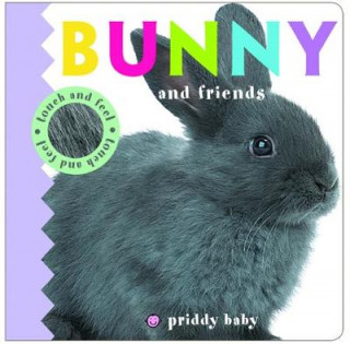 Carte Bunny & Friends Priddy Roger
