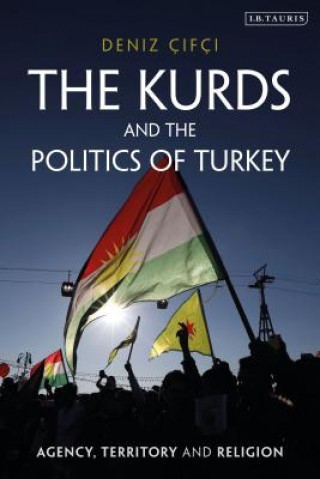 Kniha Kurds and the Politics of Turkey CIFCI  DENIZ