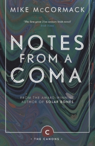 Kniha Notes from a Coma Mike McCormack