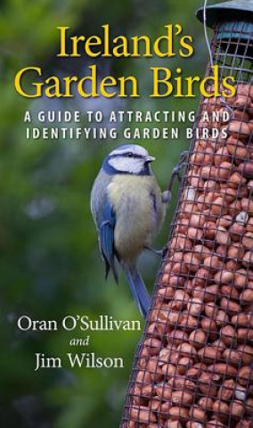 Kniha Ireland's Garden Birds Oran O'Sullivan