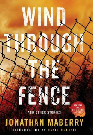 Knjiga Wind Through the Fence Jonathan Maberry