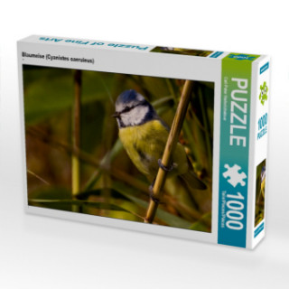 Gioco/giocattolo Blaumeise (Cyanistes caeruleus) (Puzzle) Carl-Peter Herbolzheimer