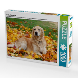 Játék Golden Retriever (Puzzle) SchnelleWelten