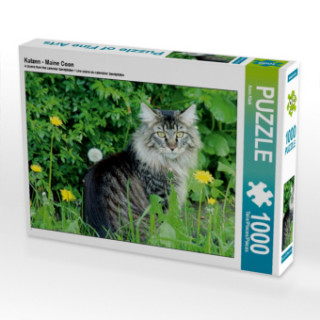 Hra/Hračka Katzen - Maine Coon (Puzzle) Arno Klatt