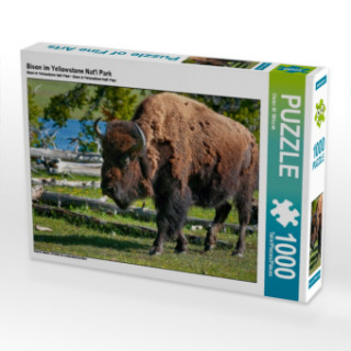 Hra/Hračka Bison im Yellowstone Nat'l Park (Puzzle) Dieter-M. Wilczek