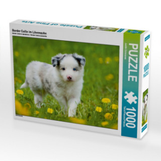 Igra/Igračka Border Collie im Löwenzahn (Puzzle) Judith Dzierzawa