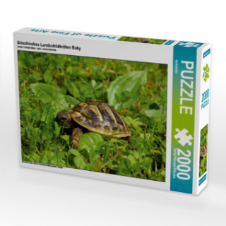 Gra/Zabawka Griechisches Landschildkröten Baby (Puzzle) Kattobello