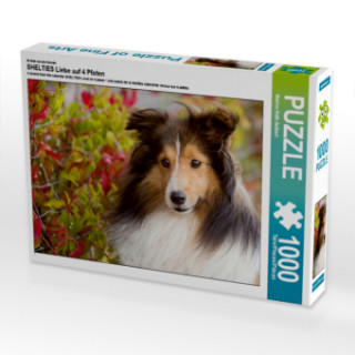 Hra/Hračka Ein Motiv aus dem Kalender SHELTIES Liebe auf 4 Pfoten (Puzzle) Marion Reiß-Seibert