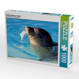 Hra/Hračka Seehund (Phoca vitulina) (Puzzle) B. Mielewczyk