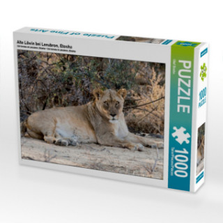 Hra/Hračka Alte Löwin bei Leeubron, Etosha (Puzzle) Olaf Bruhn