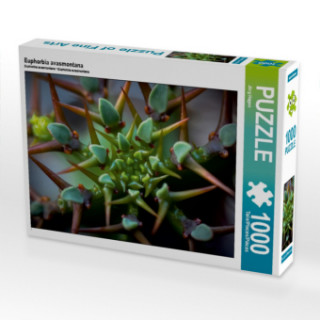 Hra/Hračka Euphorbia avasmontana (Puzzle) Jörg Hagen