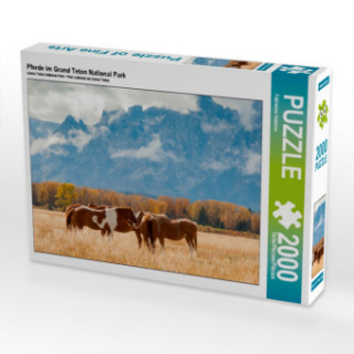 Joc / Jucărie Pferde im Grand Teton National Park (Puzzle) Fabienne Heidorn
