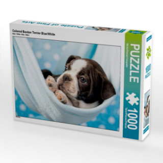 Gra/Zabawka Colored Boston Terrier Blue/White (Puzzle) Nicola Kassat