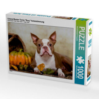 Gra/Zabawka Colored Boston Terrier "Roxy" Herbststimmung (Puzzle) Nicola Kassat